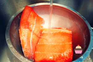 Grifo- salmón